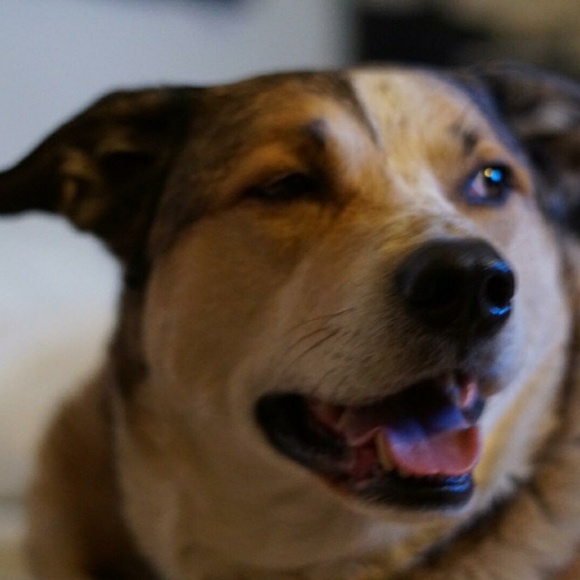 Meet your Posher, Erica - Picture 2 of 8